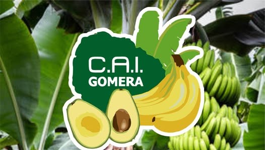 Cooperativa Agrícola Insular Gomera (C.A.I.G.) Valle Gran Rey