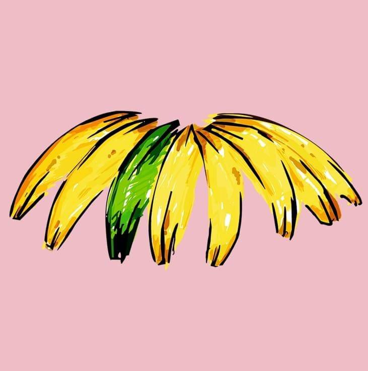 BANANA HOTEL GROUP SL.